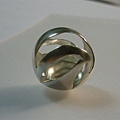 DSCN9884.jpg
