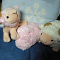 DSCN0167.jpg