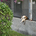 DSCN0170.jpg
