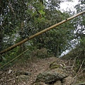 DSCN0388.jpg