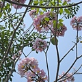 DSCN0399.jpg