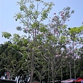 DSCN0401.jpg