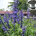 DSCN0403.jpg