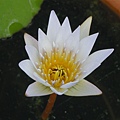 DSCN0422.jpg