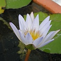 DSCN0423.jpg
