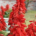 DSCN0427.jpg