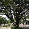 DSCN0075.JPG