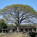 DSCN0085.JPG