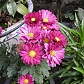 DSCN0110.JPG