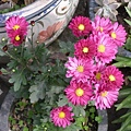 DSCN0129.JPG