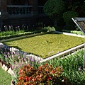 DSC02841.JPG