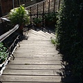 DSC02845.JPG