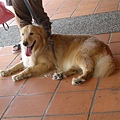 DSCN1208.jpg