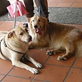 DSCN1209.jpg