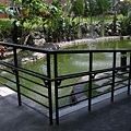 DSCN1294.jpg