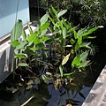 DSCN1297.jpg