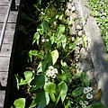DSCN1302.jpg