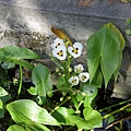 DSCN1304.jpg