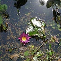 DSCN1305.jpg