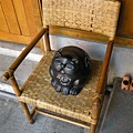 DSCN1315.jpg