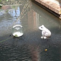 DSCN1317.jpg