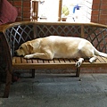 DSCN1319.jpg
