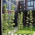 DSCN1321.jpg