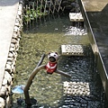 DSCN1322.jpg