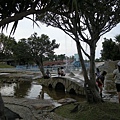 DSCN1362.jpg