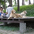 DSCN1367.jpg