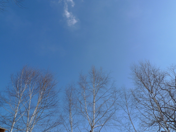 P1000324.JPG
