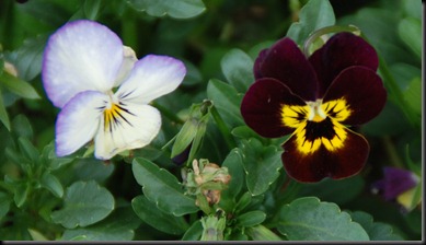 DSC_0110 DSC_0110