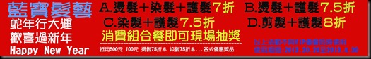 藍寶髮藝2013新年活動 藍寶髮藝2013新年活動