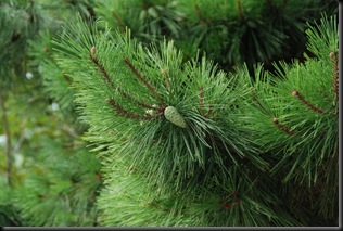 DSC_0559 DSC_0559