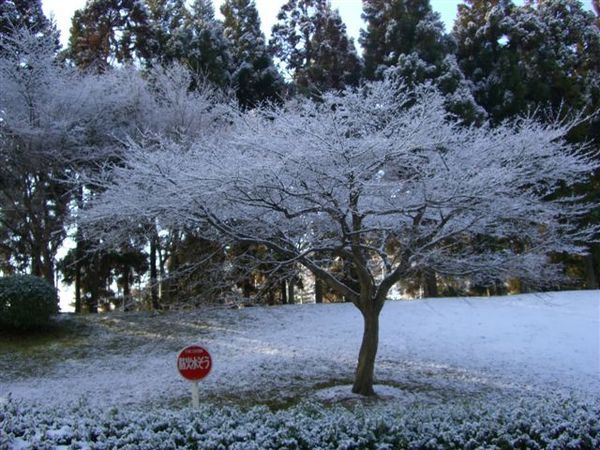 飯店外雪景