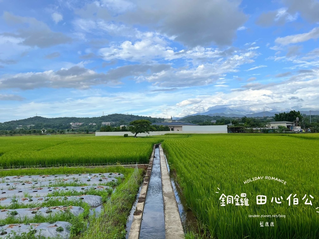 田心伯公龍貓土地公7.JPG