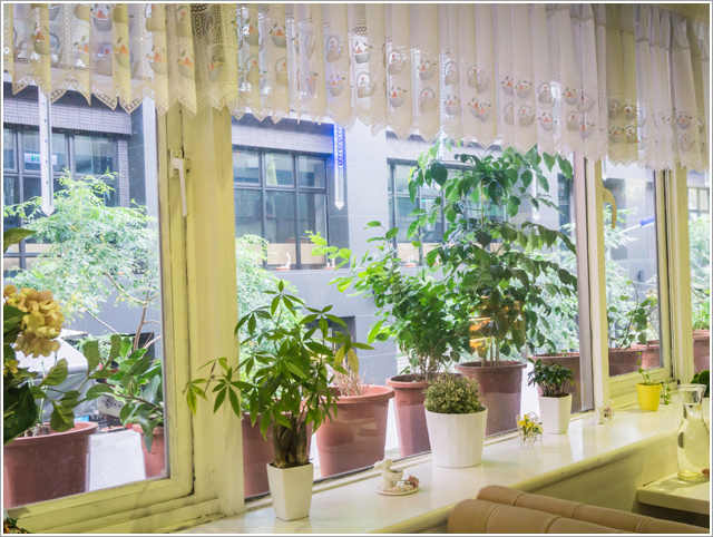 DSC02546.jpg DSC02546.jpg