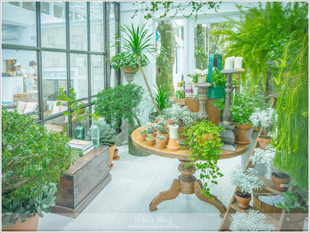 DSC04250.jpg DSC04250.jpg