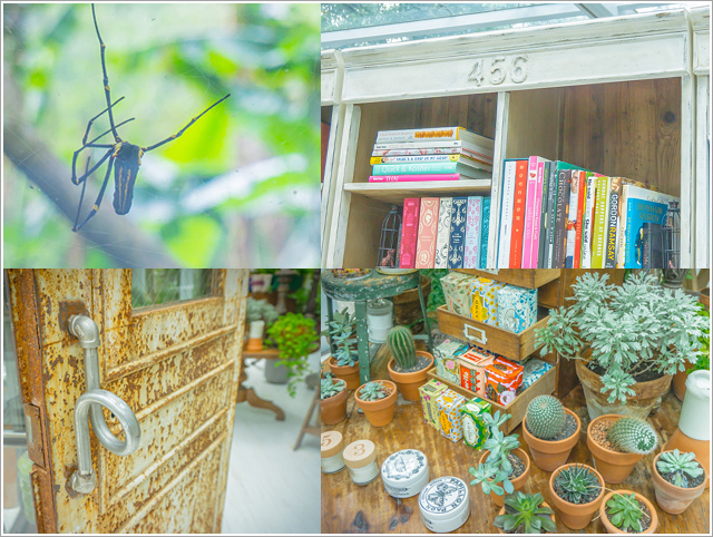 DSC04253.jpg DSC04253.jpg