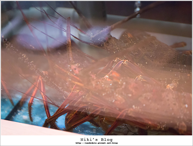 8Y7C0961.jpg 8Y7C0961.jpg