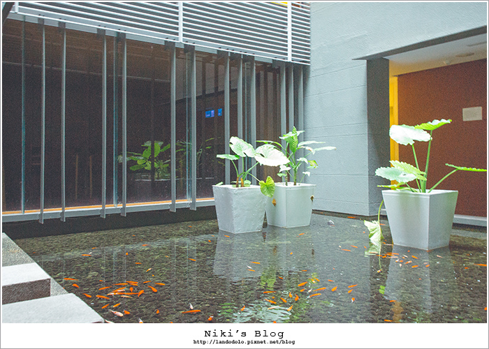 8Y7C8273.jpg 8Y7C8273.jpg