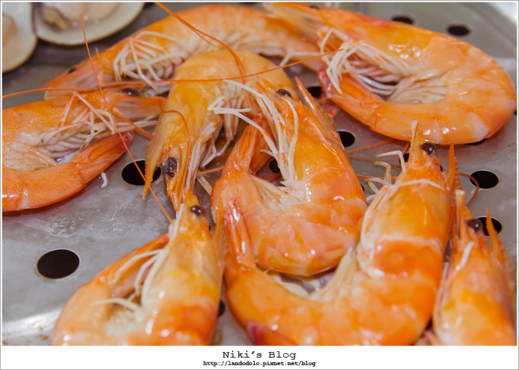 8Y7C9893.jpg 8Y7C9893.jpg