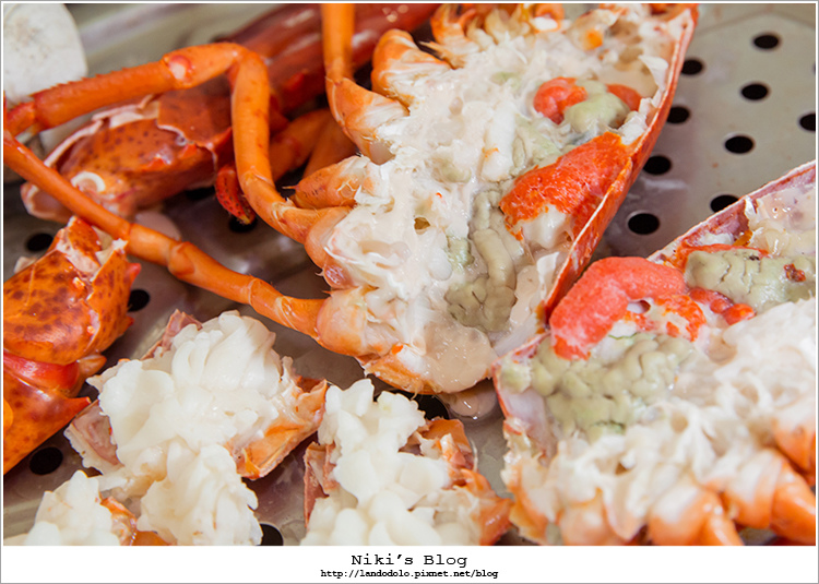 8Y7C9979.jpg 8Y7C9979.jpg