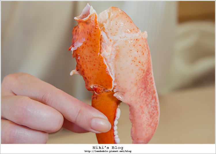 8Y7C9983.jpg 8Y7C9983.jpg