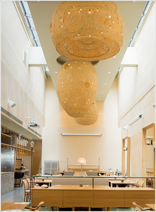 8Y7C8308.jpg 8Y7C8308.jpg