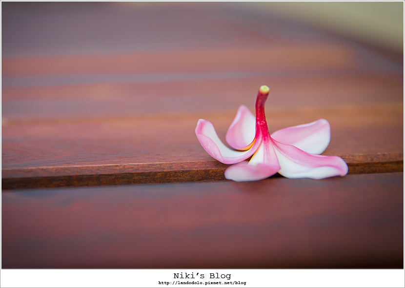 8Y7C9380.jpg 8Y7C9380.jpg