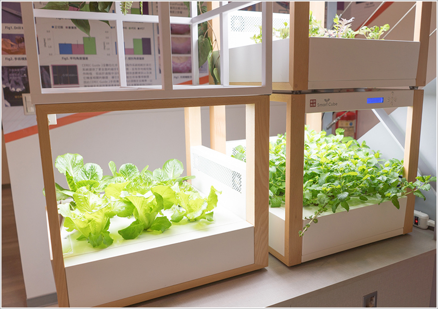 DSC03540.jpg DSC03540.jpg