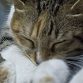 DSC_1049.jpg