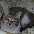 DSC_2805.jpg