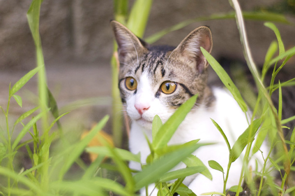 DSC_4831 拷貝.jpg